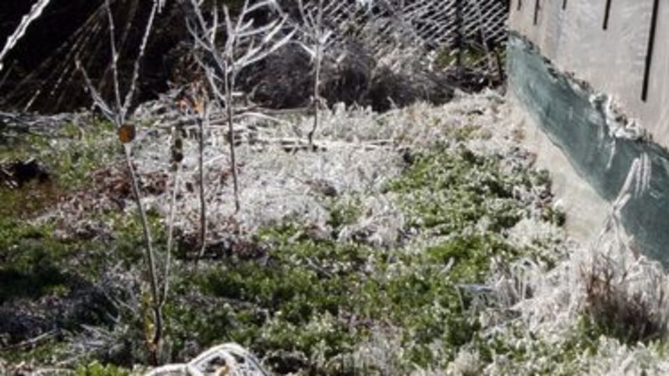 Meteoroloji'den 5 ile "zirai don" uyarısı