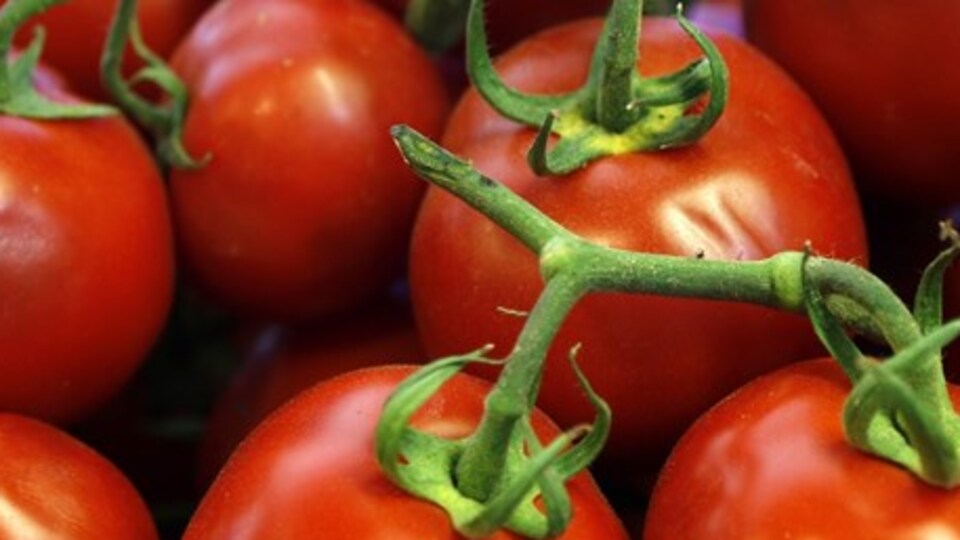 "Kararı doğru bulmuyoruz"