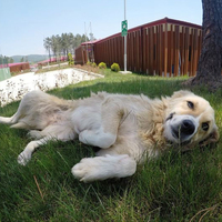 Yeni bakımevi ve gömü alanı