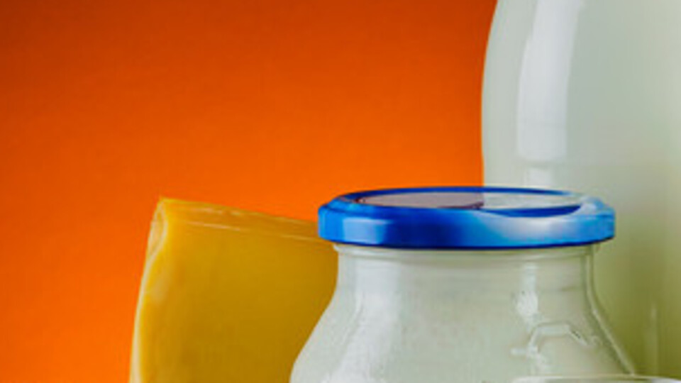 Peynir ve sütü durduramadık!