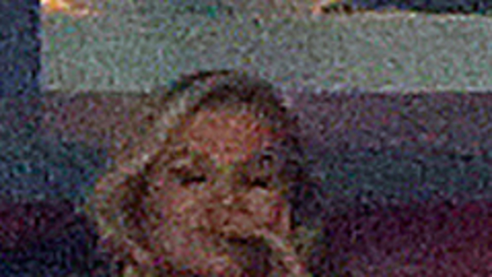 Başkan Özbek totemi bozdu!