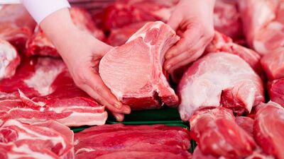 Ucuz et ile ilgili Bakan Fakıbaba'dan önemli açıklama