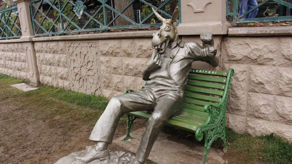 'Çekirdek çitleyen eşek' koparılan kulaklarına kavuştu