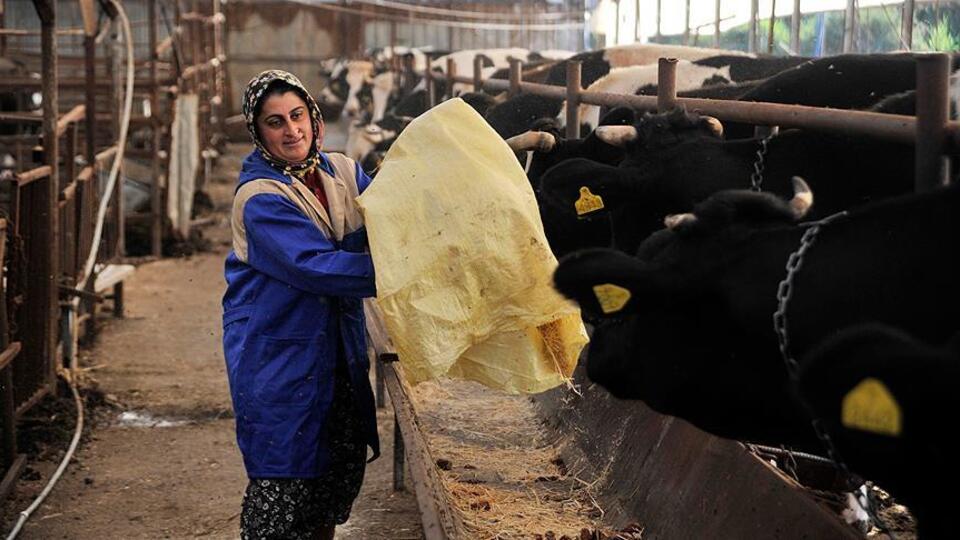 4 bilezikle servete ulaştı