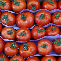 Rusya almayınca onlar aldı