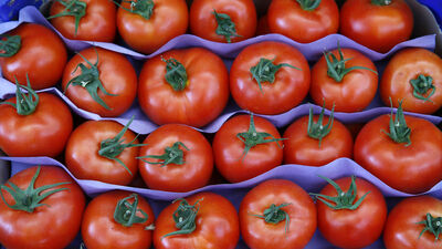 Rusya almayınca onlar aldı