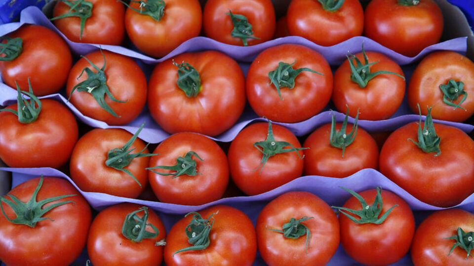 Rusya almayınca onlar aldı