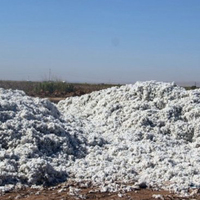 Şanlıurfa'da bir şok daha! Kayıp çocuğun cesedi pamuk tarlasından çıktı!