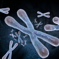 150 yıl yaşamak mümkün mü?