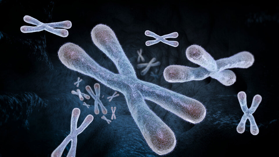 150 yıl yaşamak mümkün mü?