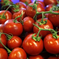 Bergama'dan yola çıktılar, Rusya'ya gidiyorlar!