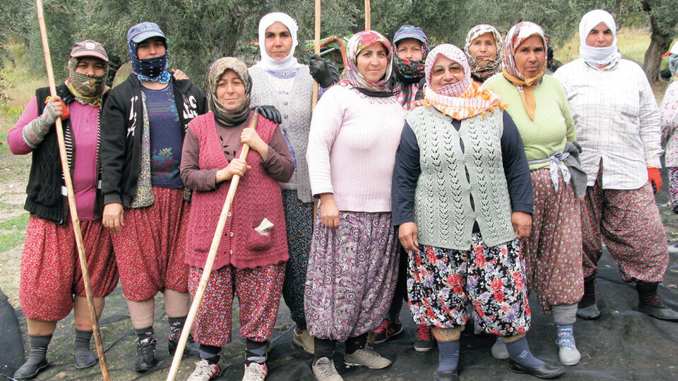 Hasadıyla neşe saçan: Zeytin