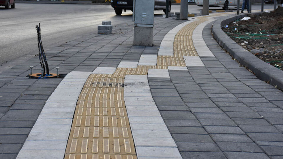 Pes dedirten görüntü!