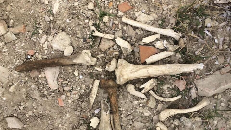 Kale kalıntılarının arasında insan kemikleri bulundu
