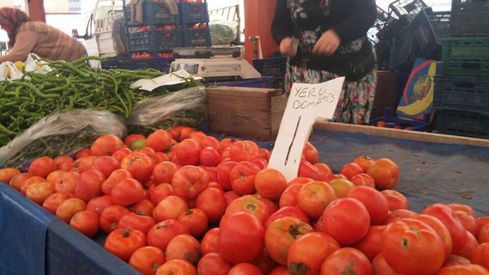 Çanakkale'de domates üreticisi umduğunu bulamadı