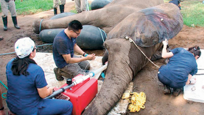 3 saatlik diş ameliyatı