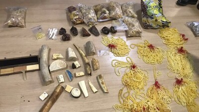 Mors dişi operasyonu