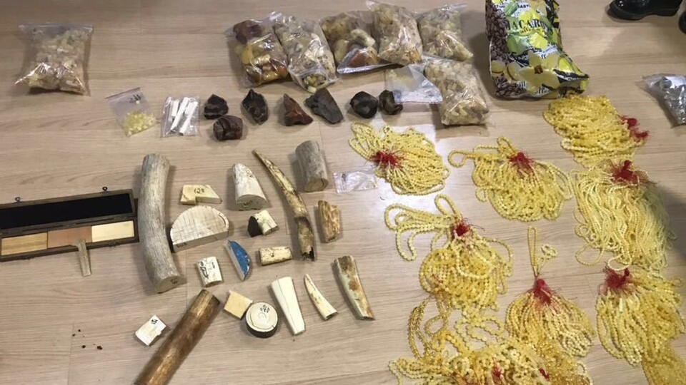 Mors dişi operasyonu