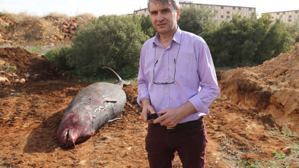 1.5 sene gömülü kalacak!