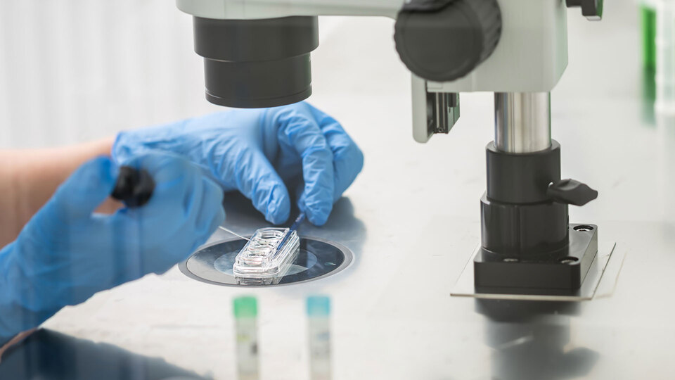 DNA'nın düzenlenmesi ilk defa canlı olarak görüntülendi!