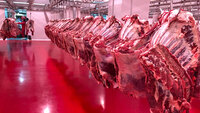 Türkiye yıllık 300 bin ton et ithal ediyor