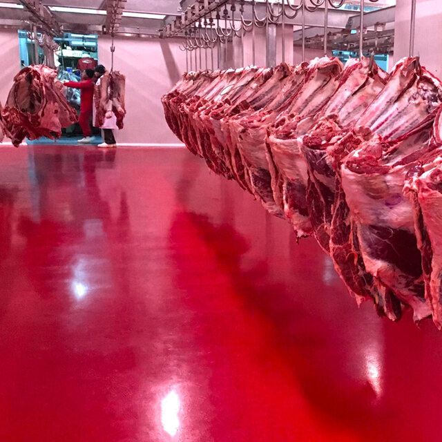 Türkiye yıllık 300 bin ton et ithal ediyor