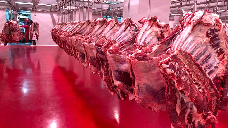 Türkiye yıllık 300 bin ton et ithal ediyor