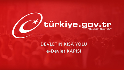 e-Devlet uçuş bilgileri sorgulama nasıl yapılır?