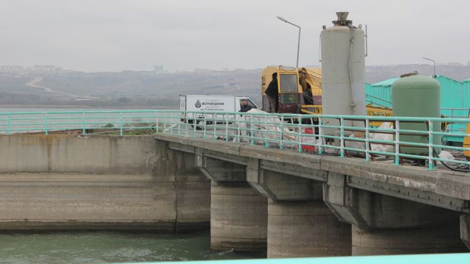 Korkunç! Kuş bilimciler buldu