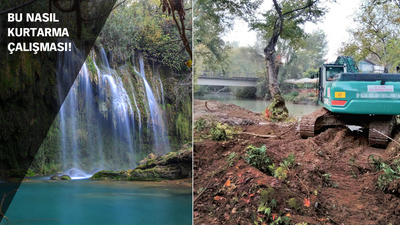 Şelale için ağaç katliamı!