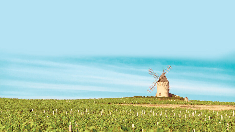 Mıknatıs gibi çeken saklı bahçeler