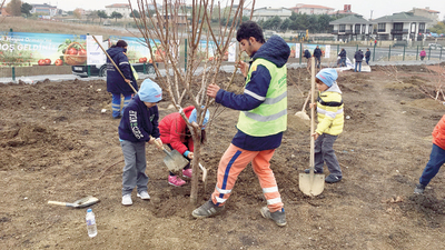 Beylikdüzü'nde meyve dalından yenecek