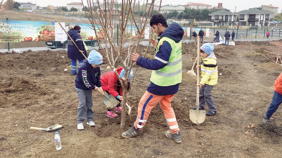 Beylikdüzü'nde meyve dalından yenecek