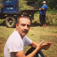 Platoya alkol yasağı