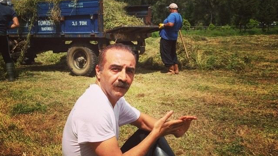 Platoya alkol yasağı