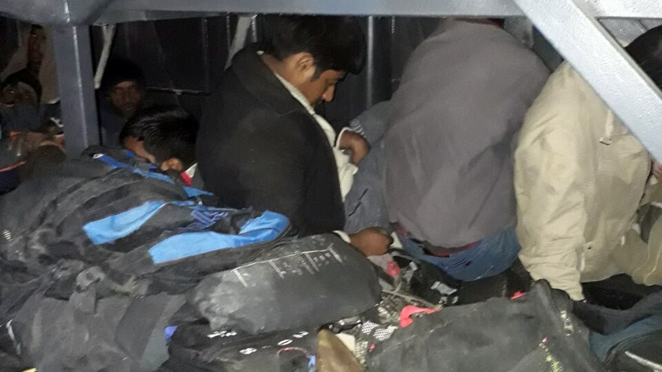 Ağrı Valiliği'nden açıklama: 294 kaçak göçmen yakalandı