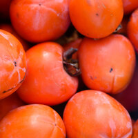 Midesinden çıktı! Doktorlar bile şaşkına döndü!