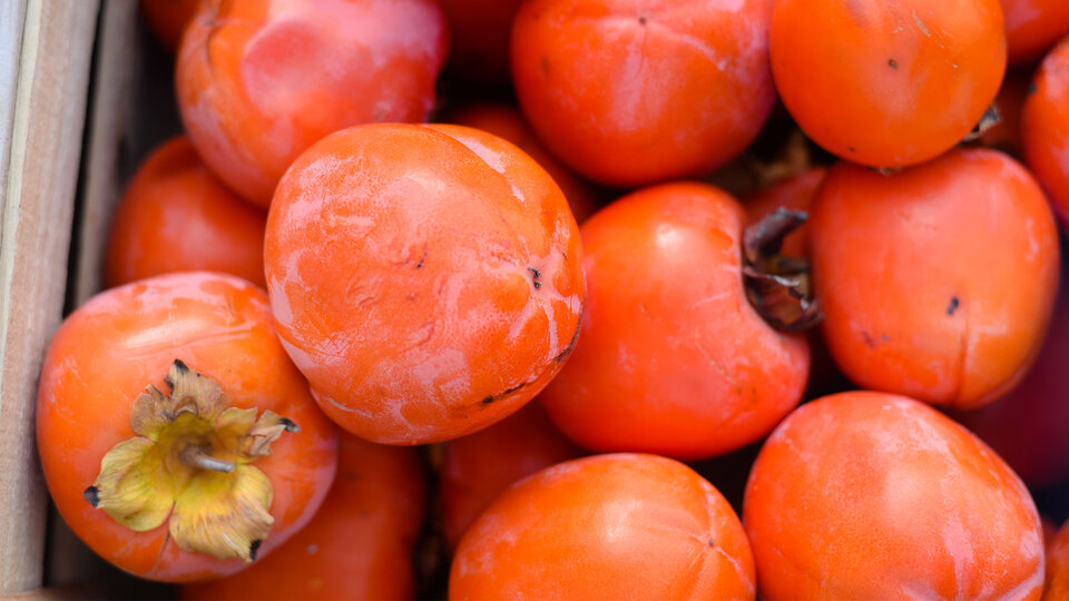 Midesinden çıktı! Doktorlar bile şaşkına döndü!