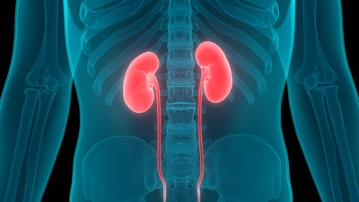 Organ bağışı yetersizliği her yıl 5 bin hastayı hayattan koparıyor!