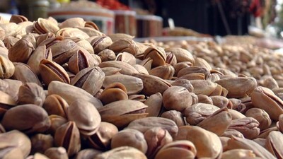 Antep fıstığı el yakıyor