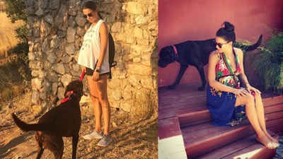 Django ve pamuk için 220 bin imza