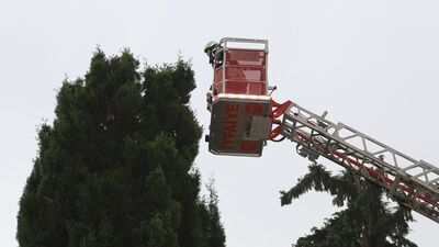 Yastık kılıfı kurtarma operasyonu! "İlk defa böyle bir şeyle karşılaşıyoruz"