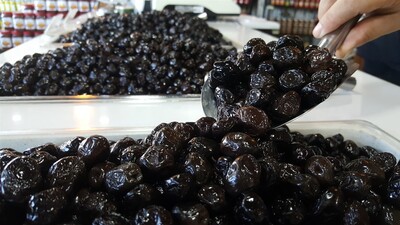 Tane ile zeytin satma dönemi başlıyor