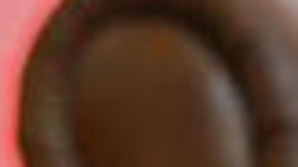 Bakan Gül: FETÖ elebaşının iadesi için ABD'ye 7 talepname gönderildi