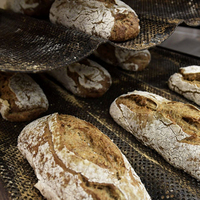 Böcekli ekmek satışa çıkıyor!