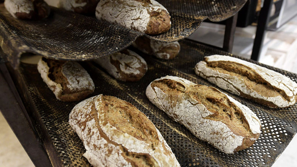 Böcekli ekmek satışa çıkıyor!