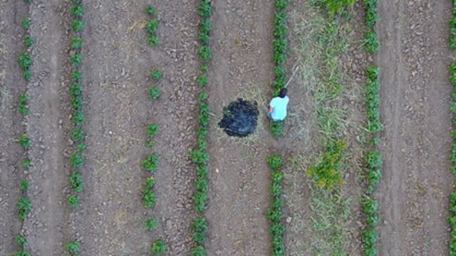 Elektrik borcu olan çiftçilere destek ödemesi yok