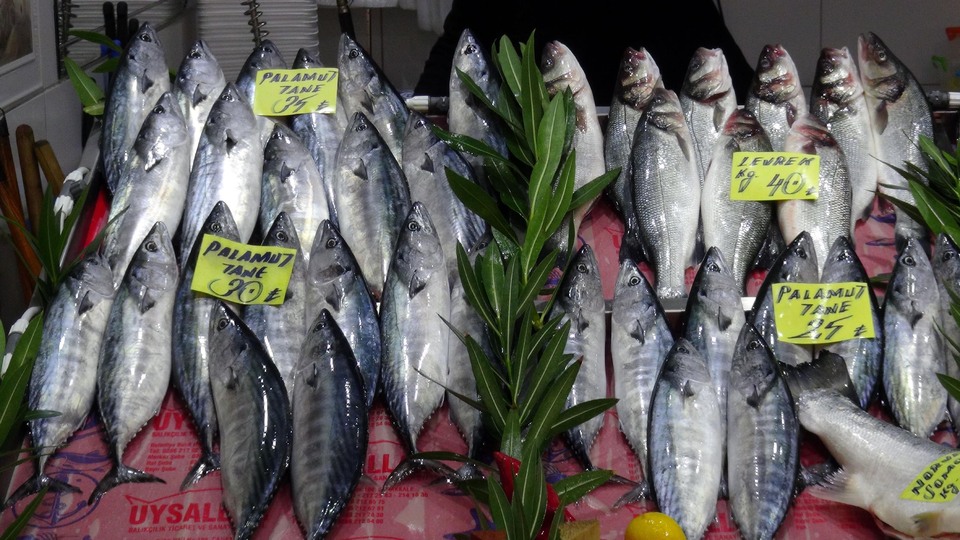 Avı gibi ihracatı da azaldı