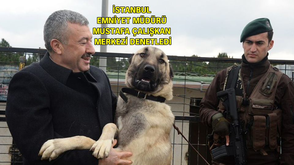 Emniyette 'akbaş' ve 'kangal' dönemi