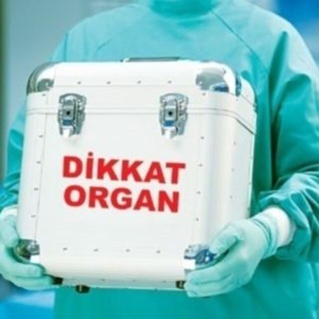 6 kişiye can, 2 kişiye ışık oldu!